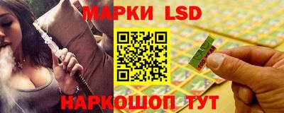 крисы Можга