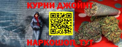 крисы Можга