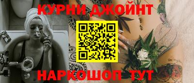крисы Можга