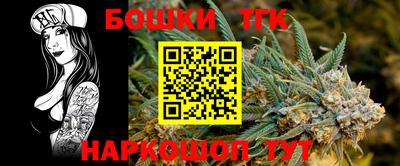 крисы Можга
