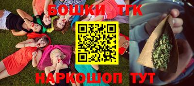 крисы Можга