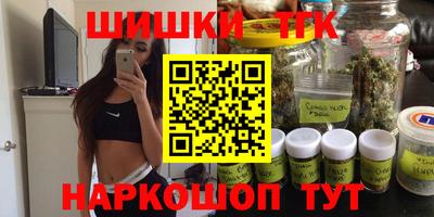крисы Можга