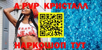 крисы Можга