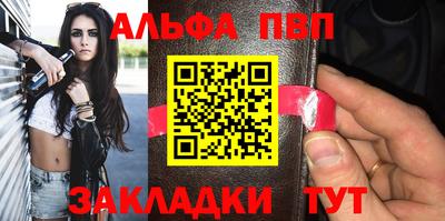 крисы Можга