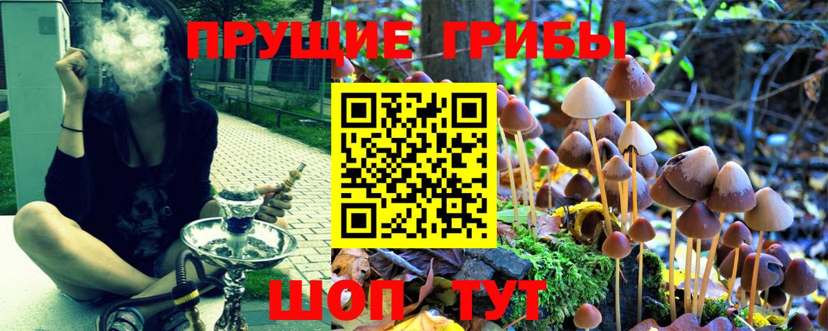 Псилоцибиновые грибы Psilocybine cubensis Верхний Уфалей