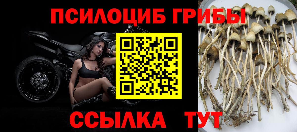 Верхний Уфалей  Галлюциногенные грибы Psilocybe  Псилоцибиновые грибы MAGIC MUSHROOMS  закладки  Вход с VPN 